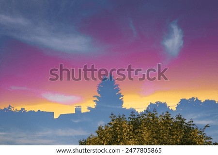 abstraction, collage, nature in the evening, evening landscape, unreal view, natural background, flowers in architecture, nature and architecture, background