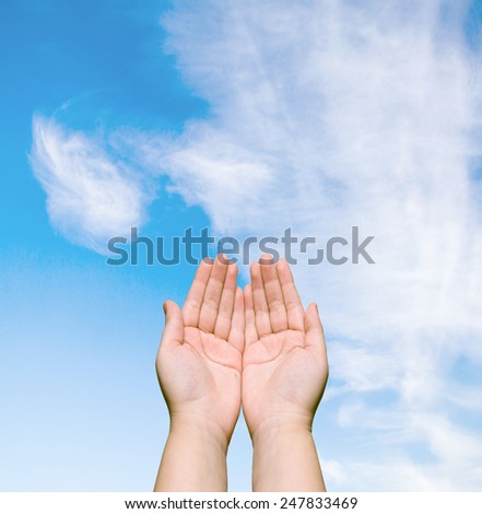 two human hands against the blue sky