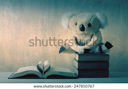 Fur bear toy on books with love heart sign pages