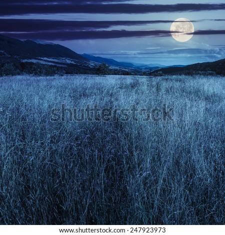composite mountain summer landscape. Meadow with wild flowers in mountains at night in full moon light