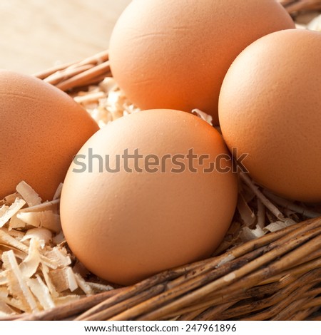 Egg on sawdust with old basket over on wooden background