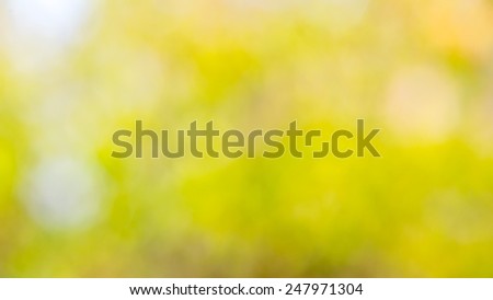 colorful blurred backgrounds