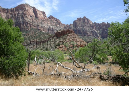 Utah Country - Zion National Park