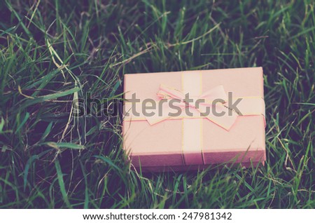 Pink gift box on green grass outdoor. Photo vintage filter effect.