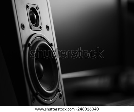 Two way loudspeaker at recording studio Royalty-Free Stock Photo #248016040