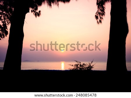 silhouette of trees and wave on the beach with sunset in the sea