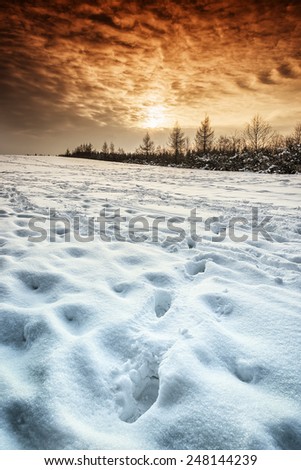 Image of a snowy winter landscape with dramatic evening sky in Bavaria, Germany