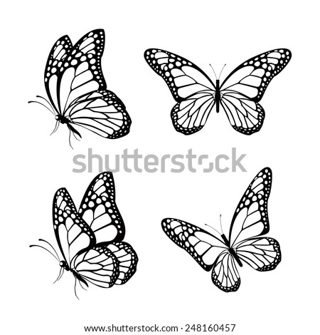 Set of Silhouette Butterflies Isolated for Spring. Editable Vector Illustration