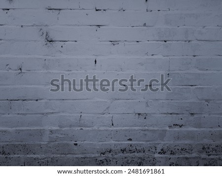 A brick wall. Old and new bricks. Background for design and presentations.