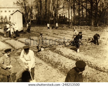 Imprisoned Russian Czar Nicholas II and family gardening at Tsarskoe-Selo. 1917.