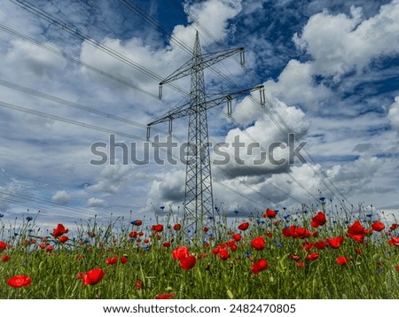 Tall transmission towers stretch over a vibrant poppy fields