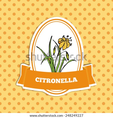 Health and Nature Collection.  Badge template with a herb on spotted seamless background. Citronella - Cymbopogon citratus 