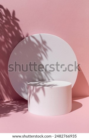 Modern abstract composition with round geometric shapes on the pink background. Copy space