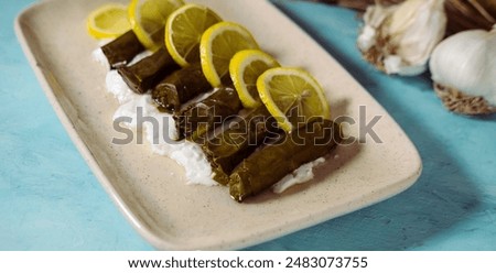 dolma or dolmades greek and turkish national food of stuffed vine grape leaves rolls ooked in olive oil served on blue background with youghurt and lemons