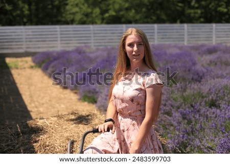 Photoshoot in lavender fields in mid-summer