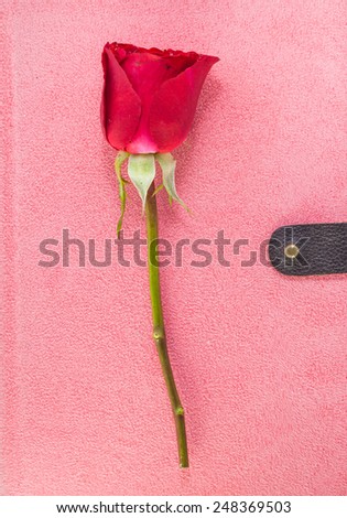 Red rose flower on a note book