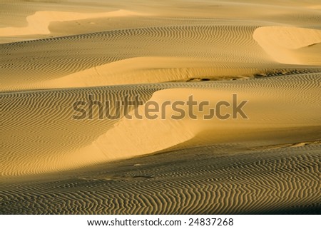 Beautiful desert taken in clear day and low light conditions. Stockton dunes in Anna Bay, NSW, Australia.