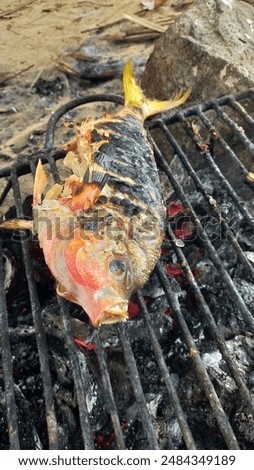Various types of sea fish grilled over coals as a side dish for lunch on Alo-alo beach, Bombana, Southeast Sulawesi, Indonesia.