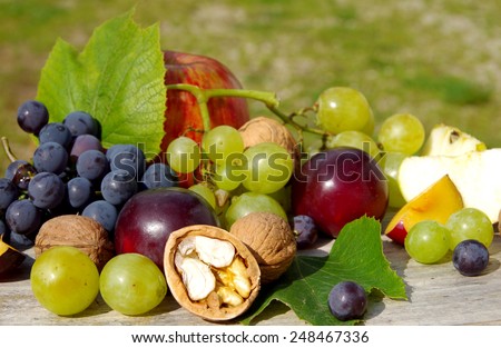 Diverse natural autumn fruits on the table.