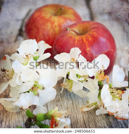 Vintage style, fresh apple flowers, spring flowers