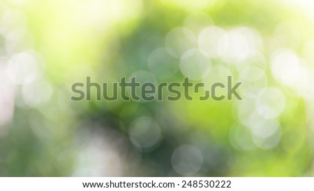  abstract green nature background