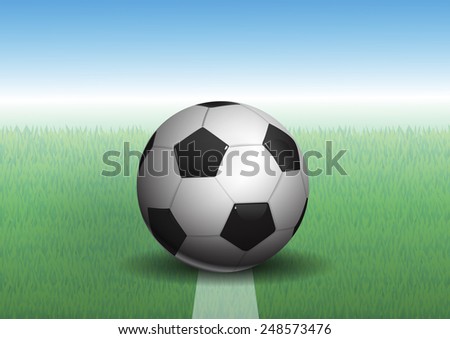 soccer ball on grass, vector illustration