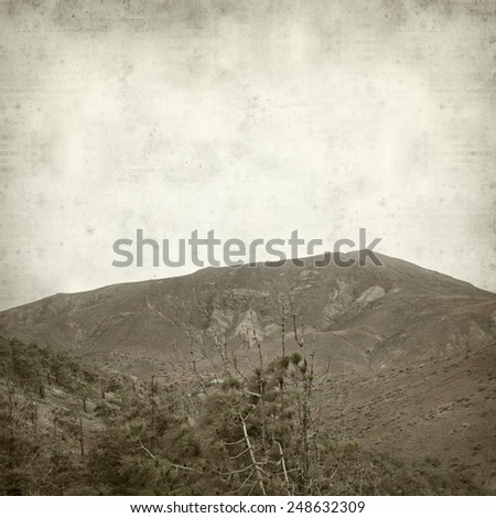 textured old paper background with pine forest of Fuerteventura, Pinar de Betancuria