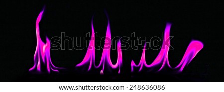 Fire and flames purple on a black background