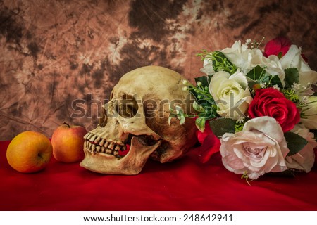 Still life with a human skull and the rose on a white background.