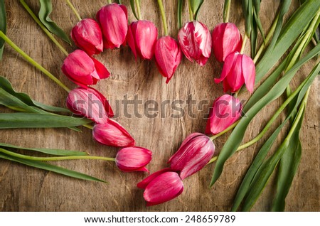 The heart-shaped frame of fresh tulips is laying on an old rustic wooden background 