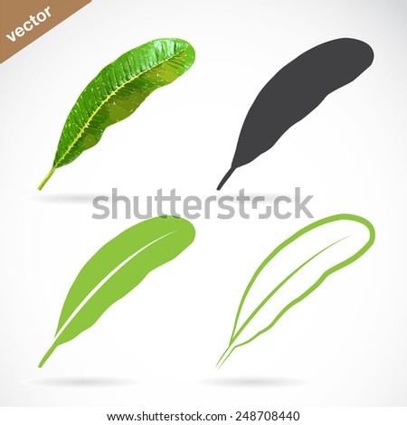 Vector image of leaves design on white background