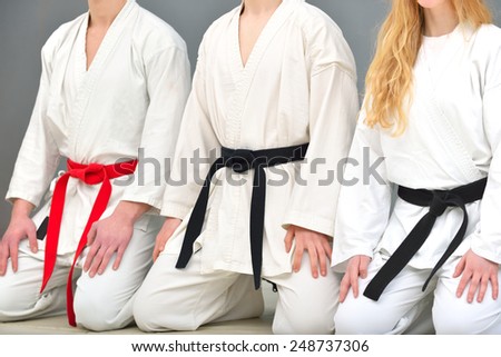 karate position