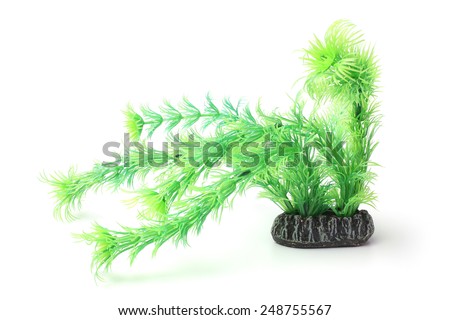 Plastic seaweed on white background
