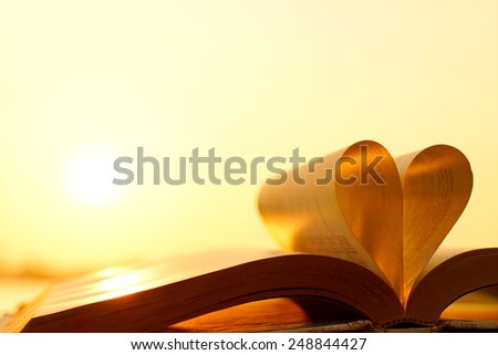 heart from a book page / Heart from book pages with warm sunlight