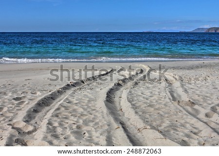 Tracks on white-sand beach Playa Conchal (Shell Beach) in Guanacaste, region of Costa Rica.