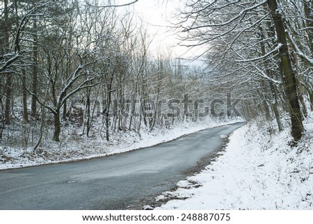 winding road in woods at winter