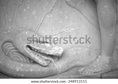 Attacking snake carved in stone