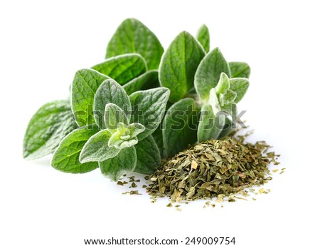 Fresh and dried oregano spices Royalty-Free Stock Photo #249009754