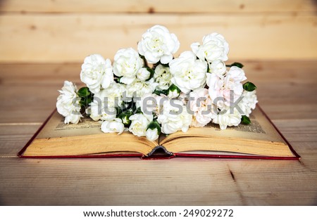 gentle carnation in the old book on a wooden background