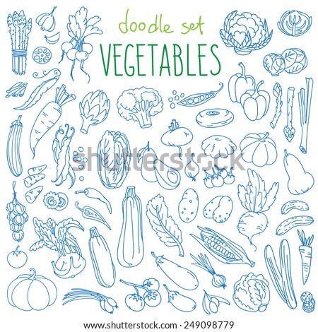 Set of various doodles, hand drawn rough simple sketches of different kinds of vegetables. Vector freehand illustration isolated on white background. Royalty-Free Stock Photo #249098779