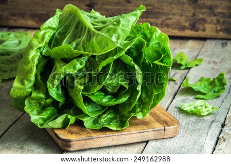 ripe organic green salad Romano on a cutting board Royalty-Free Stock Photo #249162988