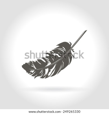 Vector feather
