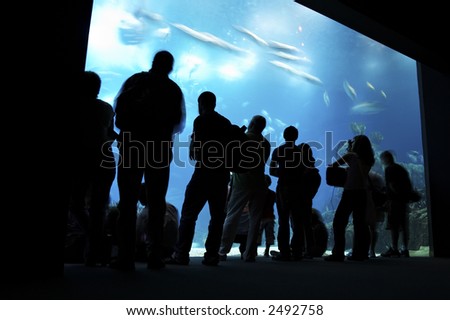 people silhouettes on aquarium background in Lisbon oceanarium