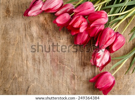 corner for photo from fresh tulips.