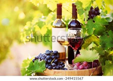 Tasty wine on wooden barrel on grape plantation background