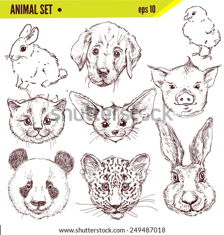 Set of hand drawn animals, vector illustration