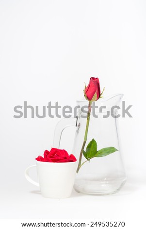 red rose on glass valentine day
