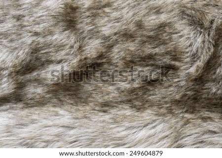abstract fluffy texture of shaggy soft old wolf fur fabric for pure backgrounds