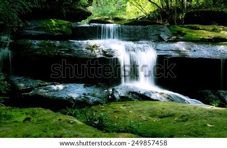 Waterfall in deep forest, where there is an abundance of nature.