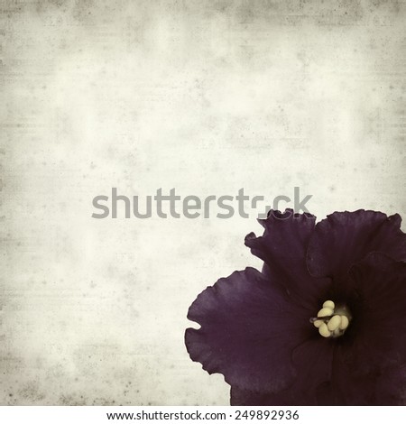 textured old paper background with african violet